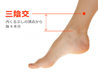⑤お血の話～お血と肩こり～