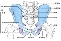 倉敷市水島へ出張整体～３年続く腰痛の改善～
