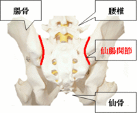 岡山市東区城東台へ出張整体・鍼灸～慢性腰痛～